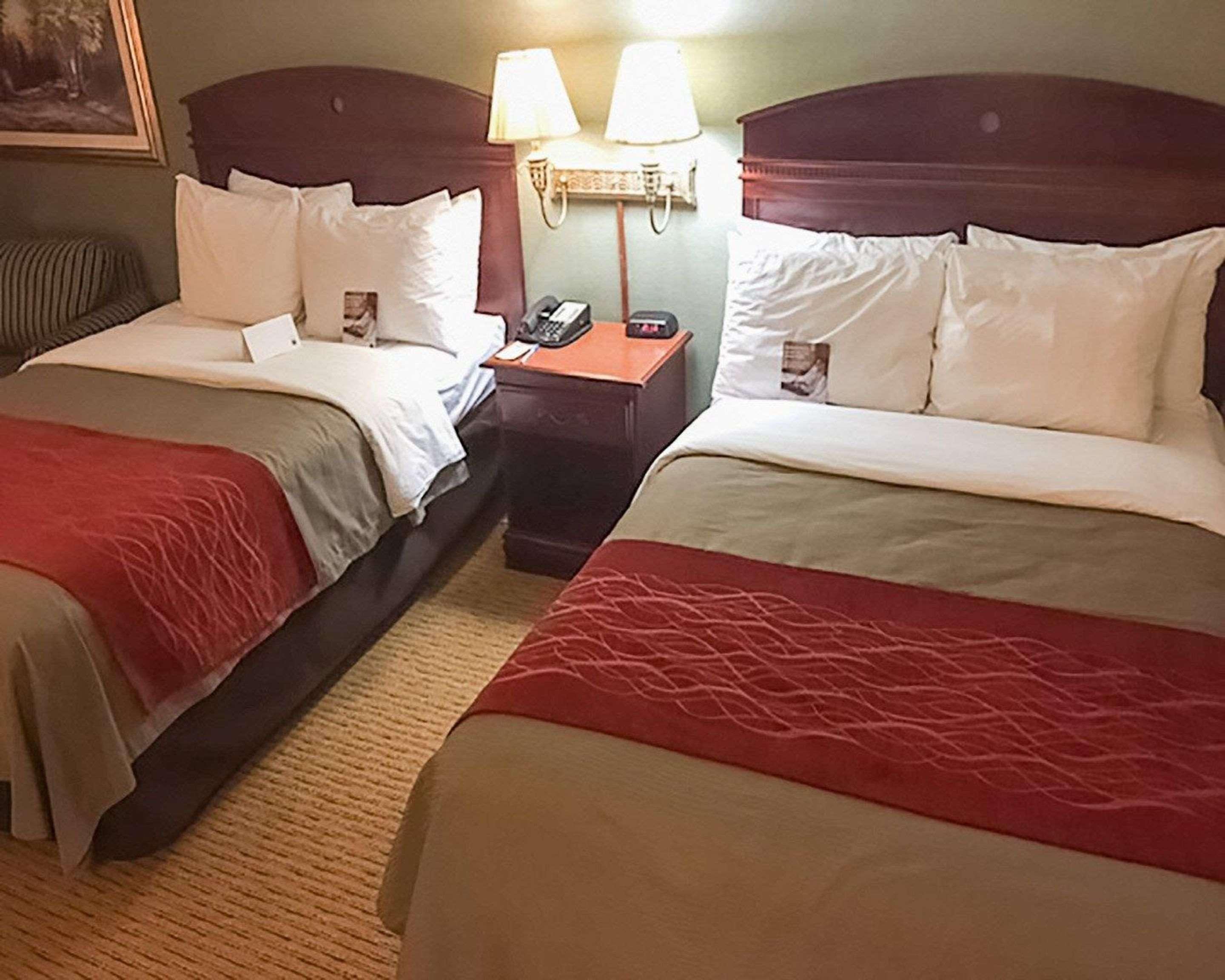 Comfort Inn Springfield Buitenkant foto